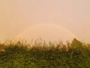 Annelies 01 Regenboog
